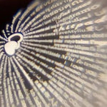 HotRose™ COLLAR TE AMO ❤️🌎 en 100 Idiomas -ENVÍO GRATIS💘